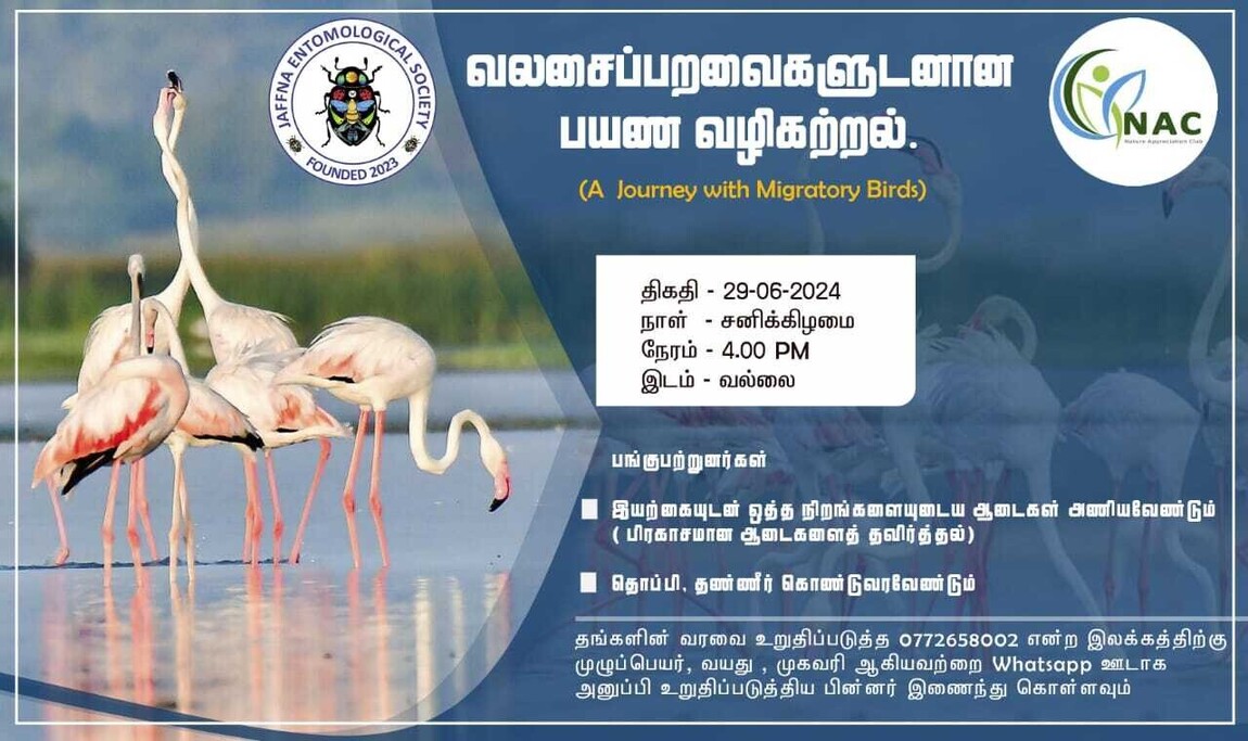 வலசை பறவைகளுடனான பயண வழிகற்றல்