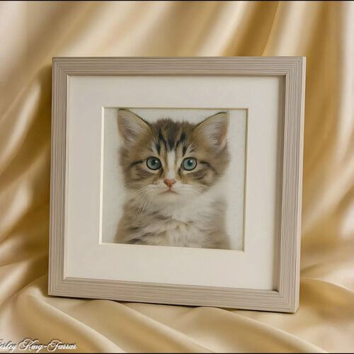 Fluffy Kitten