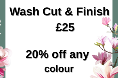 Pop Up Offer