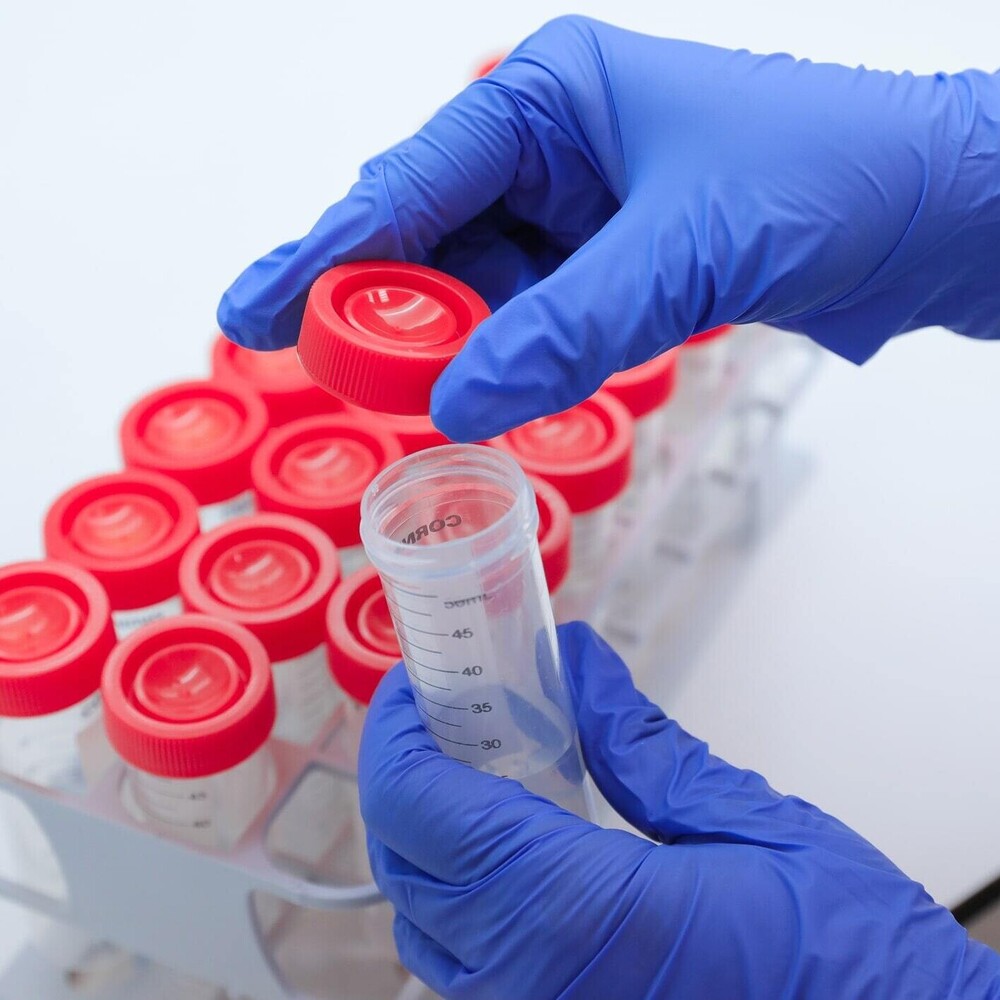 Analytical Batch Testing & Batch Release  