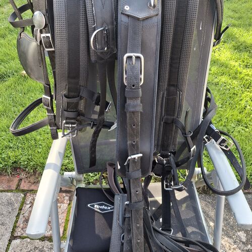 Full Size Harness - Tedex *Secondhand*