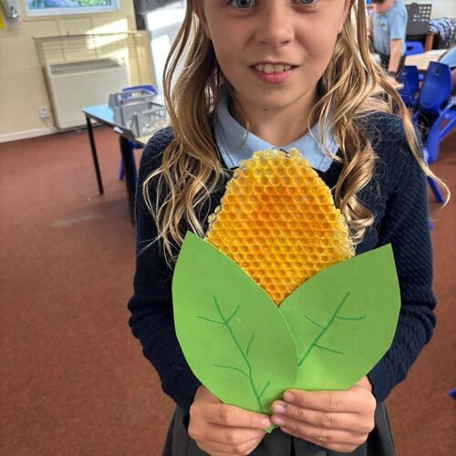 Bleasby C of E Primary School