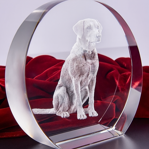The 3D Harris 10x10x3cm Pure Crystal Circle