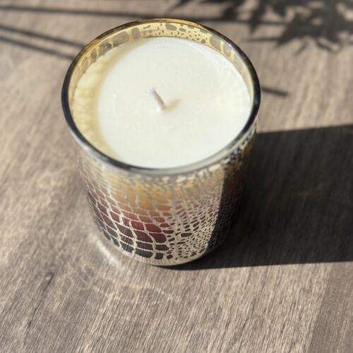 Brasil Macadamia crocodile amber Vogue Candle