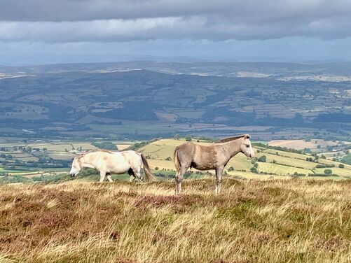 Monasticism in the Wye Valley, England/Wales borders 2026