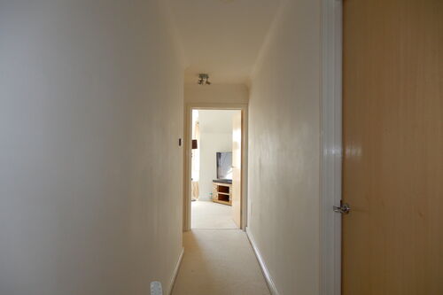 Wolves Mere Woolmer Green Knebworth Herts.