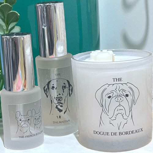 The Paws and Relax Set