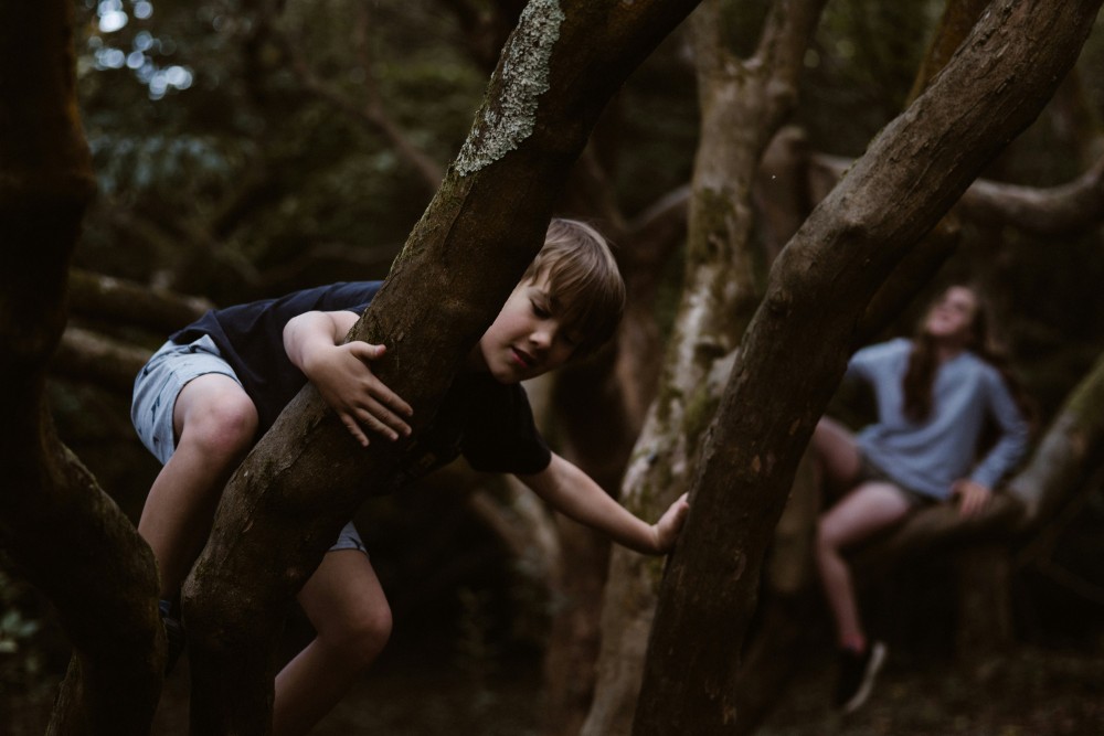 Why Forest School Preschool Learning Benefits Children in Sussex