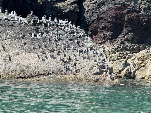 Llŷn Peninsula, North Wales 2026