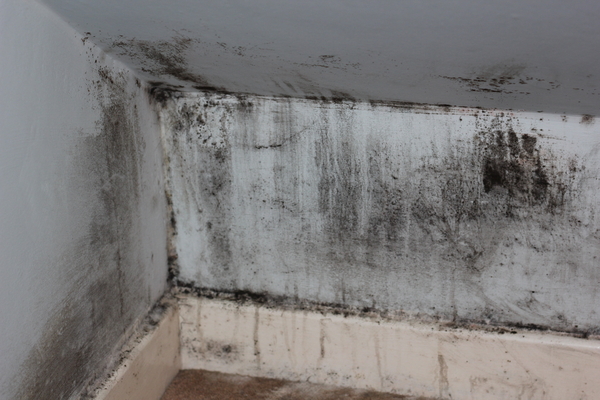 Buying an Uninhabitable House: Can a Building Surveyor Help You Avoid Stamp Duty?