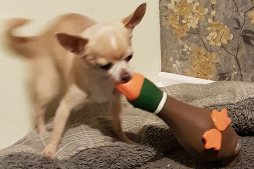 Coco and Louis