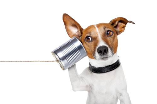 Small Claims Court Helpline