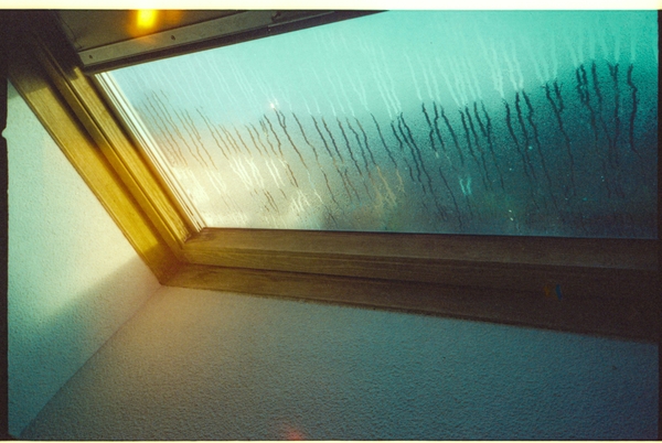 Addressing Damp and Condensation Issues: Survey Recommendations 