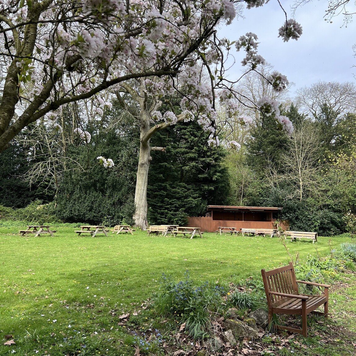 Top lawn