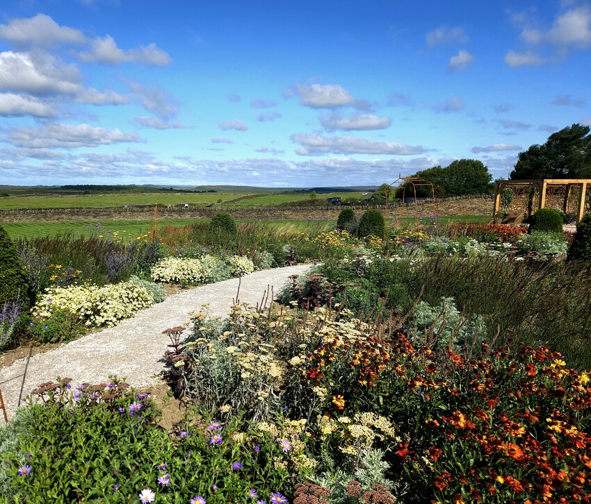 RHS Master of Horticulture