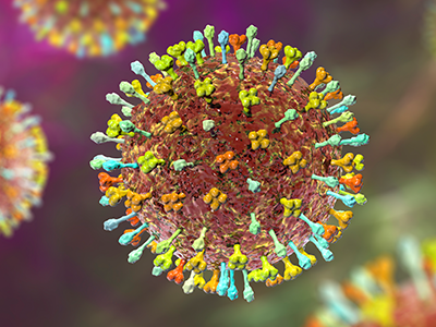 Nipah Virus Infection - India