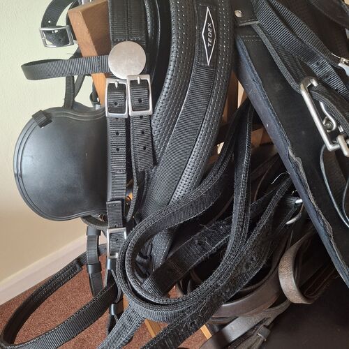 Cob Harness Set *Secondhand*