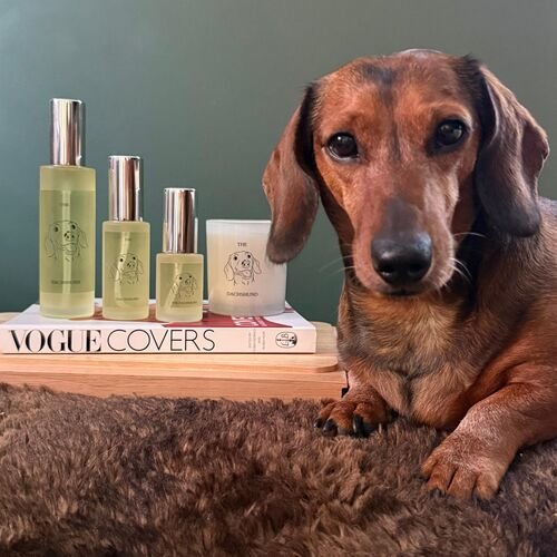 The Dachshund Travel Spray