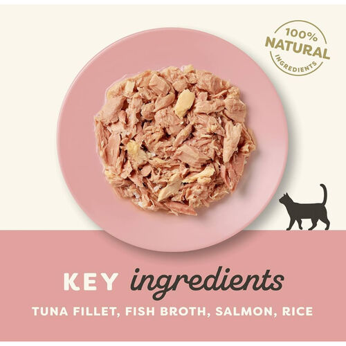 Applaws 100% Natural Premium Wet Cat Food Tuna Fillet with Salmon in Broth - 156g