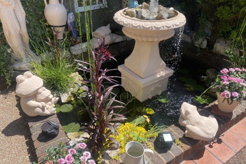 Pond referred.