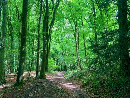 Monasticism in the Wye Valley, England/Wales borders 2026