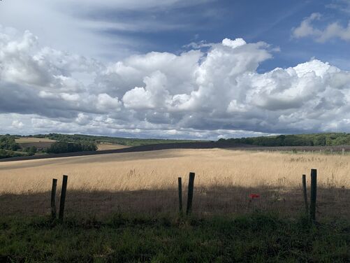 The Canterbury Trails 2026