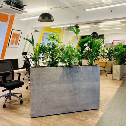 Planter Dividers