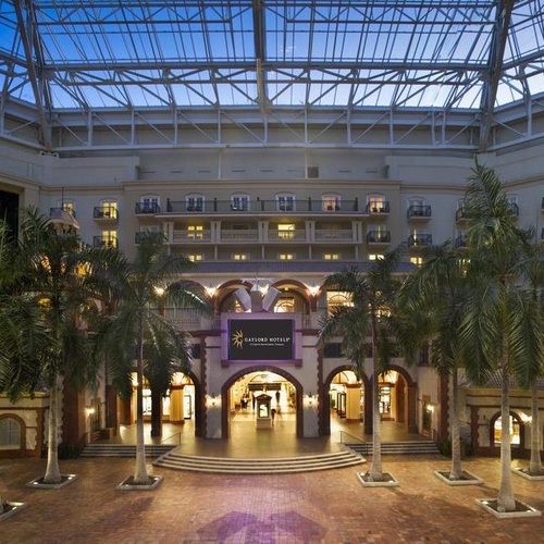 The Gaylord Palms