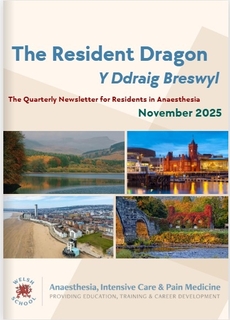 Resident Newsletter, November 2025