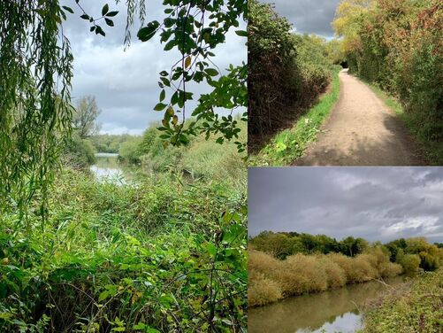 The Canterbury Trails 2026