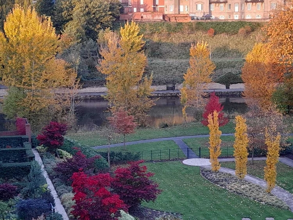 *DIG THIS NOVEMBER 2025 - FEBRUARY 2026*