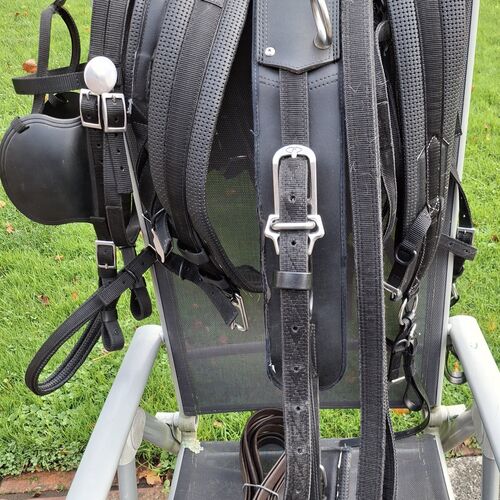 Cob Harness Set *Secondhand*