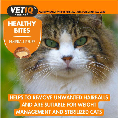 Healthy Bites Hairball Relief For Cats 65g