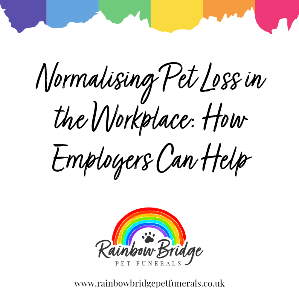 Normalising Pet Loss in the Workplace: How Employers Can Help