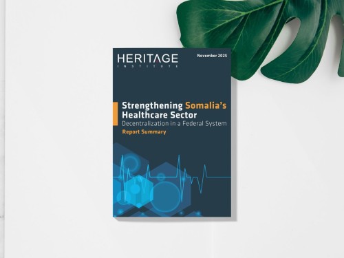Strengthening Somalia’s Healthcare Sector Decentralization in a Federal System