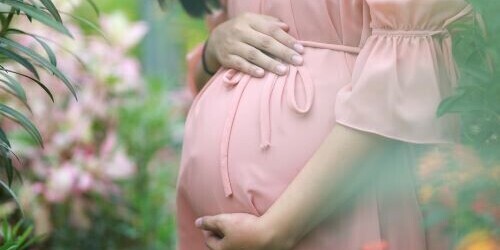 கர்பிணித் தாய் தவிர்க வேண்டிய உணவுகள் | Foods Pregnant Mothers Should Avoid