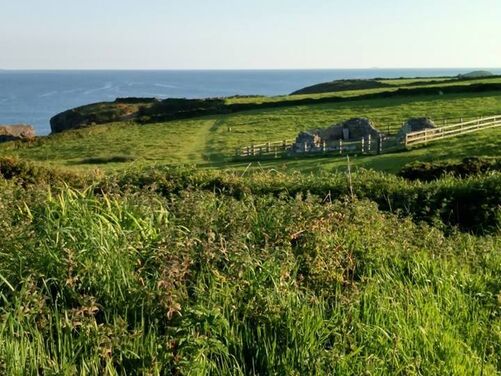 Tenby, St Davids and the Pembrokeshire Coastal Path, Wales 2026