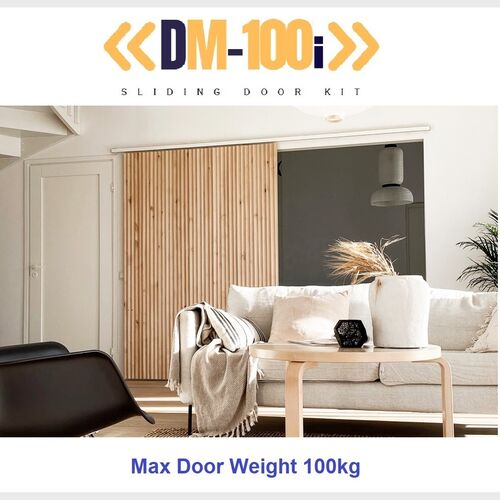DM-100i