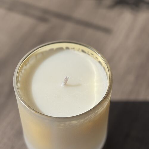 Brasil Macadamia Crocodile Frosted Vogue Candle