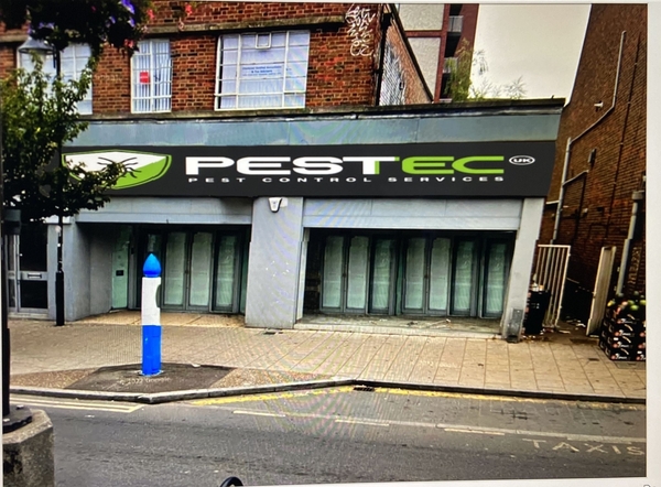  *Pestec Pest Control London – Best Pest Controller Near Me | Reliable Pest Removal*