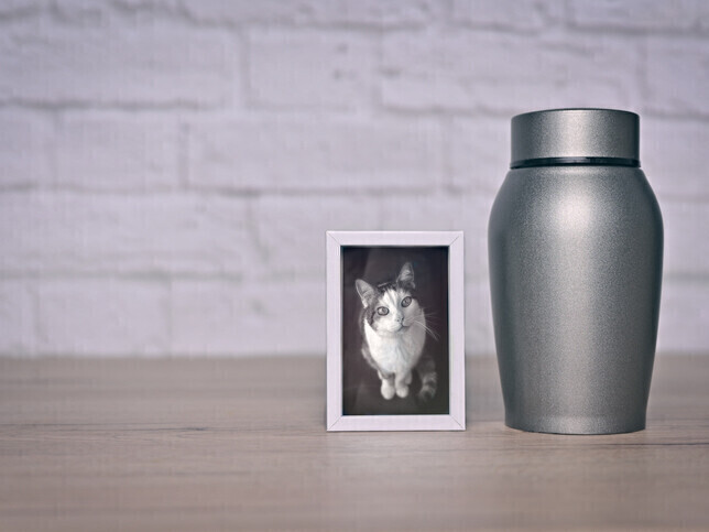 Pet Cremation