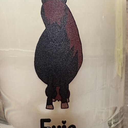 Dinky Pony Evie