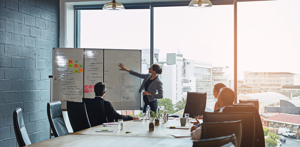 The role of a NED for Fund Boards