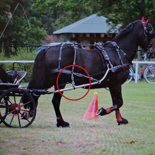 Kicking Strap -Short QR *Secondhand*