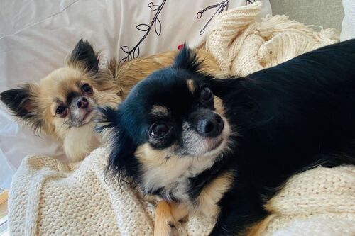 Bonnie and Basil
