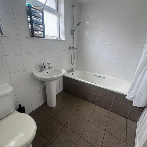 Room To Let Albion Street