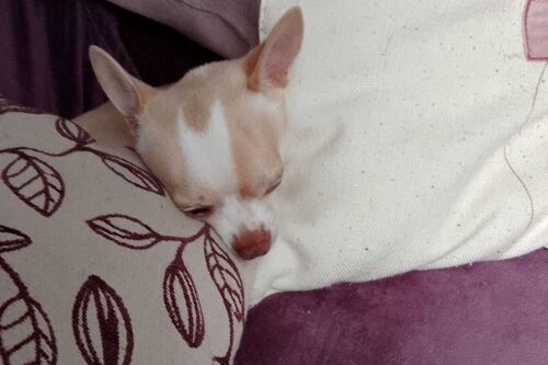Casper
