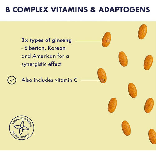 Higher Nature Energise (formerly known as B-Vital) 90 Tablets