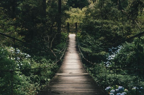 Maybe Acceptance Is All We Need