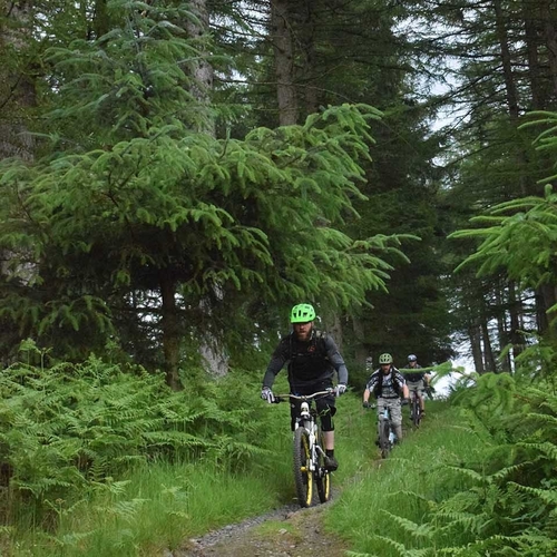Mountain Biking